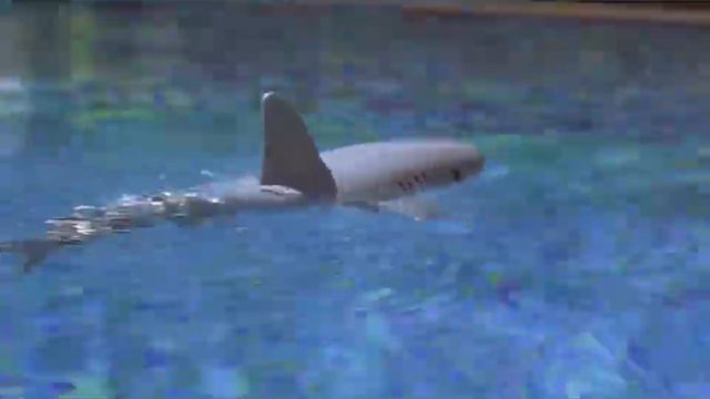 CB991176Remote control swimming rotating waterproof rc toy water shark robot смотреть онлайн