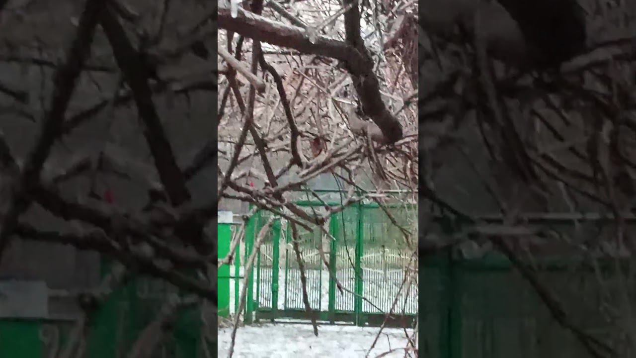 Перед стихией бессилен человек и окружающий Мир! #shortvide #shortsyoutube #shorts #short смотреть онлайн