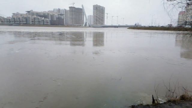 Санкт-Петербург. Южно-Приморский парк. Дудергофский канал. 26.01.2020. смотреть онлайн
