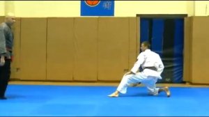 Джиу-джитсу (дзюдзюцу) Дзюго Рю. Линдер. Фрагмент семинара.