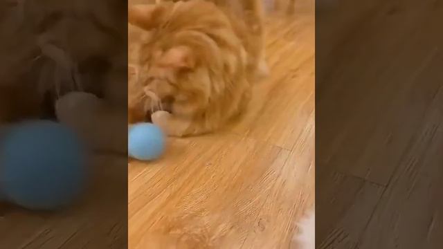 Игрушка для животных