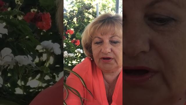 Лианы в декоре#short смотреть онлайн