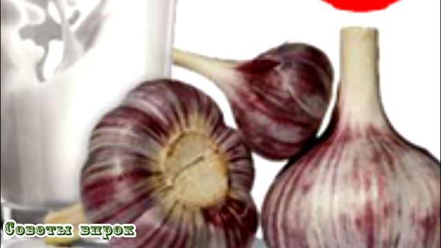➤ Здоровье ➤ Ешьте чеснок каждое утро! ➤ смотреть онлайн