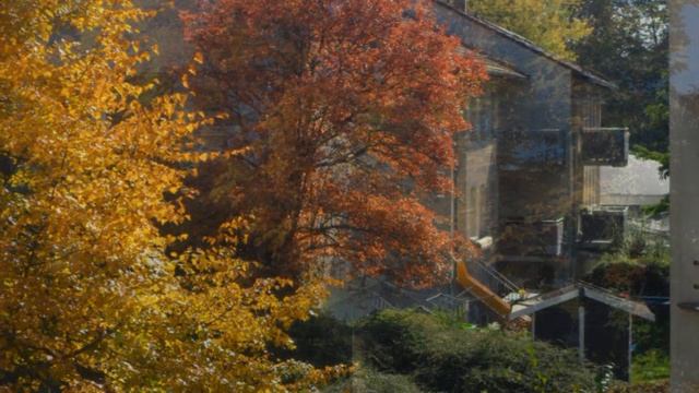 Kraski oseni... Oktober, 2018 смотреть онлайн