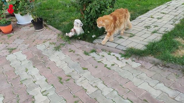 В ожидании дождя. смотреть онлайн