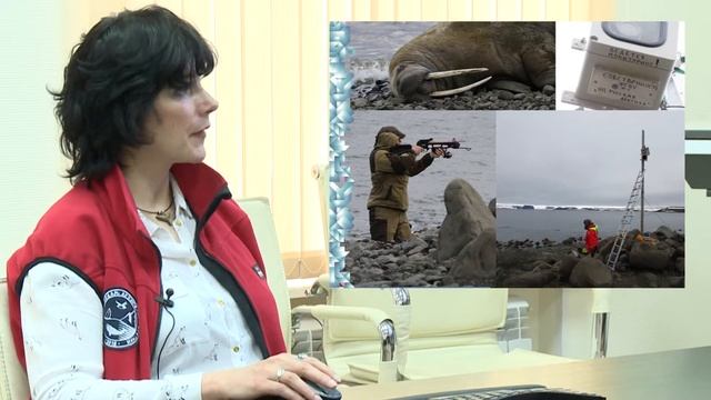 Экологический мониторинг и научные исследования - основные направления и перспективы смотреть онлайн