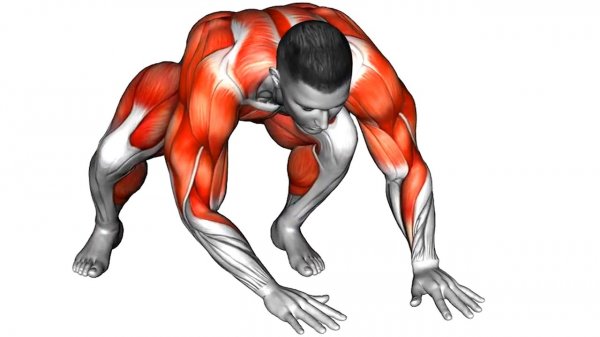 5 лучших Эффективных Упражнений для Похудения