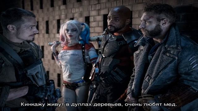 Какие млекопитающие животные относится к отряду хищников? Хищные млекопитающие животные: примеры, . смотреть онлайн
