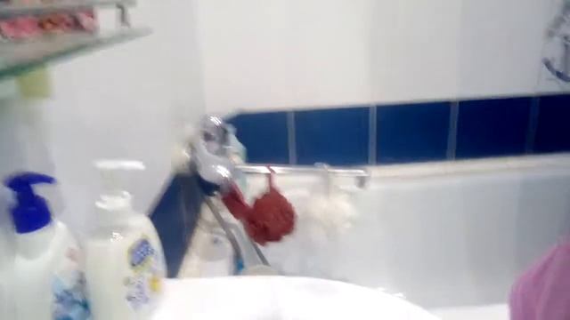 Как мыть черепаху!!!! смотреть онлайн