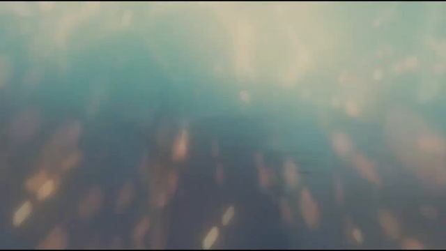 Suicide Squad || We are the Reckless смотреть онлайн
