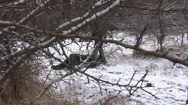 Grim Colour смотреть онлайн