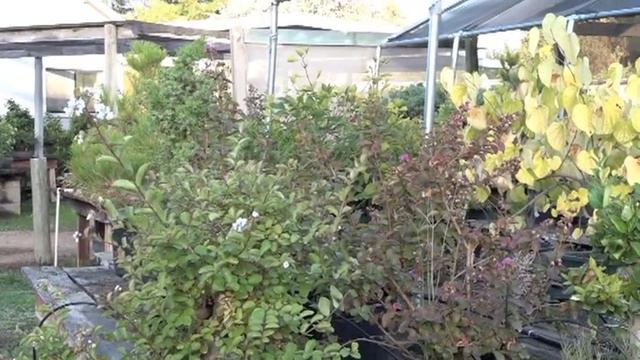 OCTOBER NURSERY TOUR