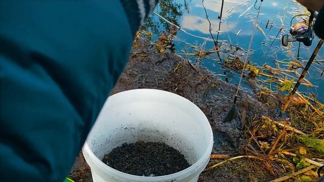 ВЕСЕННЯЯ РЫБАЛКА на РЕКЕ на САМОДЕЛЬНЫЕ КОРМАЧКИ. ОБЗОР рыболовной КОСЫ TRAPER. смотреть онлайн