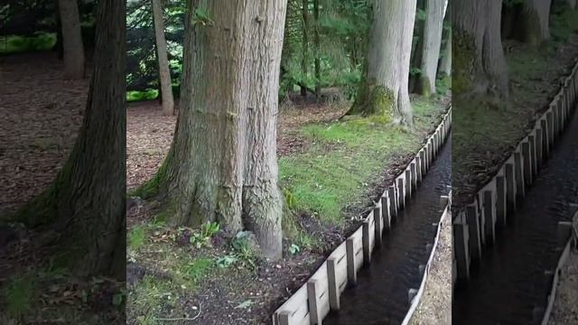 Красивый #Парк в Бельгии Bokrijk/Семейный парк отдыха смотреть онлайн