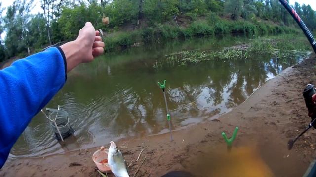 ЧАСТЬ 2 Рыбалка без лишних слов Отчет о рыбалке Рыбалка на фидер КРУПНАЯ ПЛОТВА И ГУСТЕРА смотреть онлайн