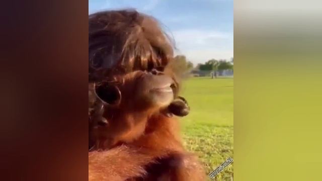 Время позитива! Лучшая подборка видео-селфи!