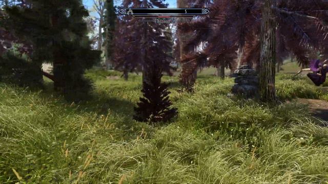 Day 434 - Killing Nazeem Every Day Until Elder Scrolls 6 Is Released