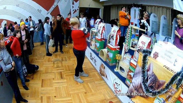 7, Выставка кошек, Харьков, ДК ХТЗ, 14 15 декабря, 2019, WCF, Best