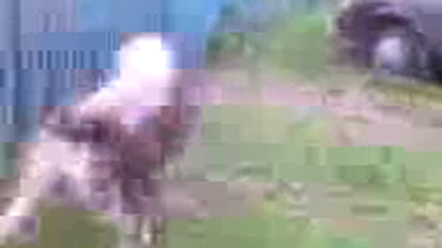 Собака-друг человека смотреть онлайн