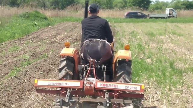 Первая между рядная прополка трактором смотреть онлайн