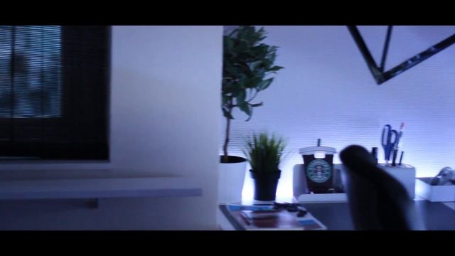 The Xenon - PC/Room Tour 2016 смотреть онлайн