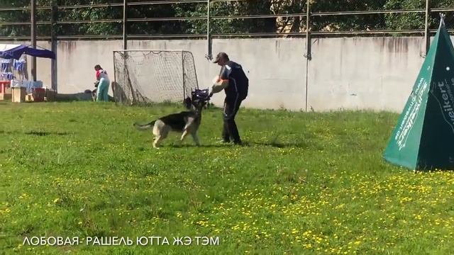 Рашель Ютта Жэ Тэм лобовая 18.06.17 смотреть онлайн