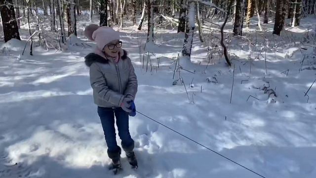 «Зимний Лес» смотреть онлайн