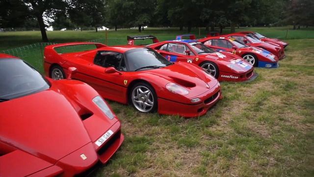 *ULTRA RARE* 1/6 Ferrari 288 GTO EVOLUZIONE смотреть онлайн