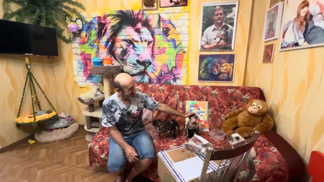 Степа ударился в БОГЕМНУЮ ЖИЗНЬ, стал художником, а Маня БОИТСЯ что он не бросит став знаменитым))) смотреть онлайн