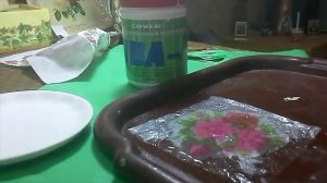 Декупаж простейший мастер-класс для начинающих. Декупаж тарелки