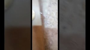 Как снять ручку защелки двери