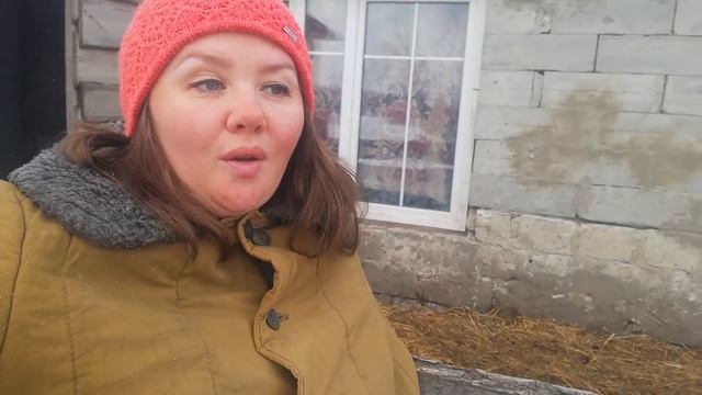 хряк дюрок по кличке "каштан" смотреть онлайн