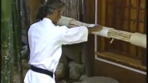Уэчи рю тренировка на макиваре.Uechi ryu Karate