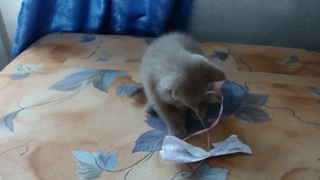 Аристотель смотреть онлайн