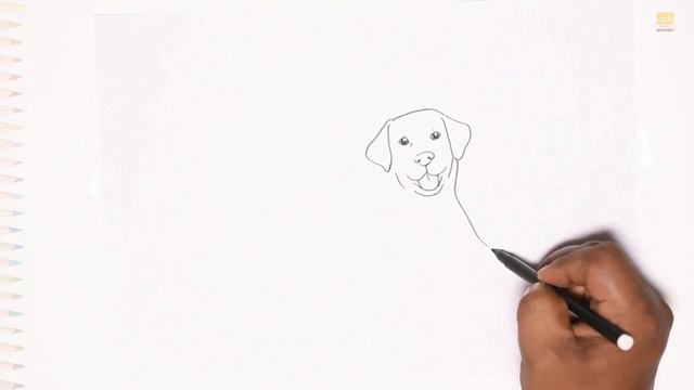 Labrador dog drawing | Dog drawing videos | How to draw Labrador step by step | drawing tutorials смотреть онлайн