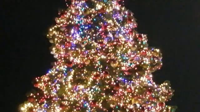 Albero di Natale 2021. Piazza Venezia. Roma / Рождественская елка 2021.Площадь Венеция. Рим. смотреть онлайн