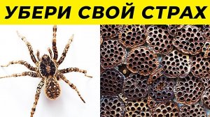 12 Способов Избавиться От Любого Страха