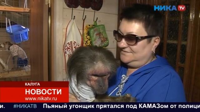 Семья приютила дома шесть обезьян смотреть онлайн