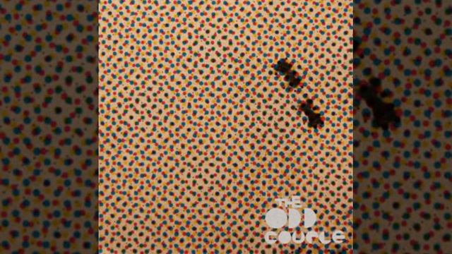 Odd Couple - "Shake" смотреть онлайн