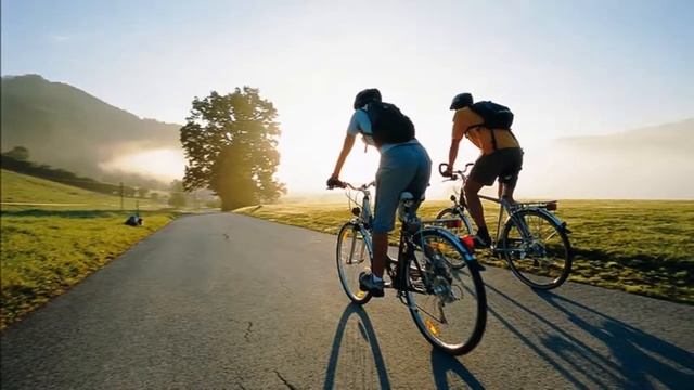 Производство велосипедов как бизнес идея смотреть онлайн