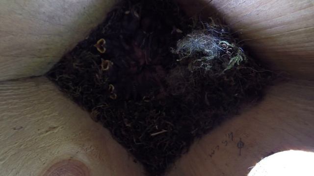 Синица Б 160507 9 в №2016 7 в посадке Gp160507 9 1 0001 отключение подсветки