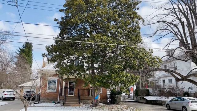 Southern Magnolia's in Cincinnati, Ohio - Part 1 смотреть онлайн