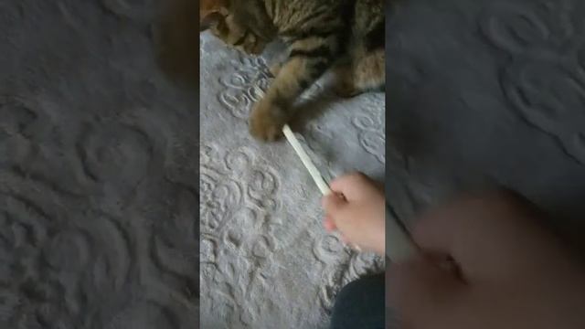 сделал катану из дерева #shorts #shorts смотреть онлайн