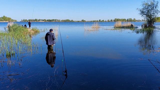 Рыбалка на Днепре. Черкассы. 06.05.2022. смотреть онлайн