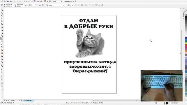 Саляхов Д.Н. Векторная графика. Создание рекламной листовки. смотреть онлайн