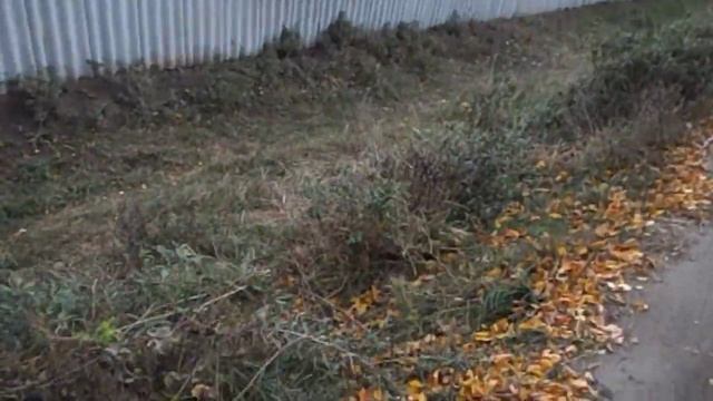 Как Самвел отмостку на Игрени испортил