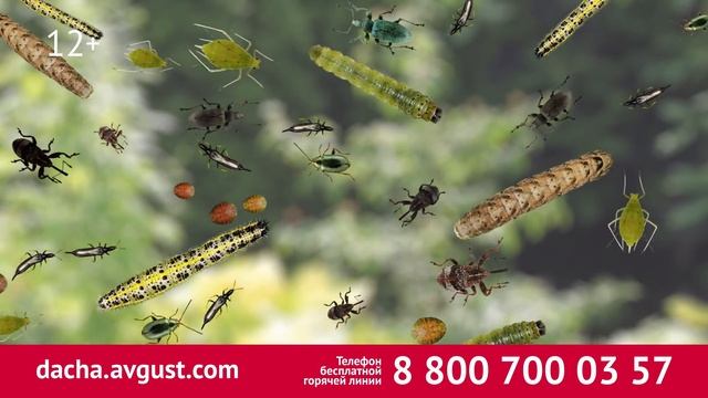 Батрайдер - инновация в защите растений смотреть онлайн