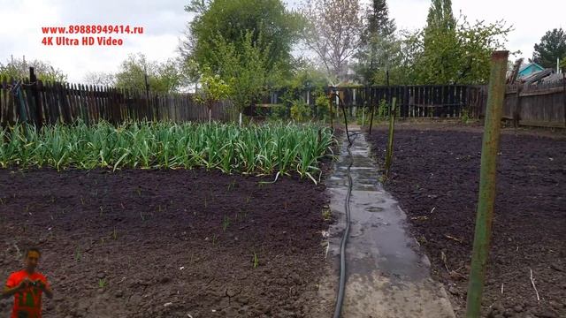 Шахты - Полив огорода 4K Ultra HD Video