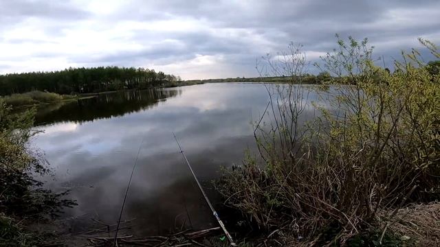 Ловля карася на удочку вечером в мае на опарыша смотреть онлайн