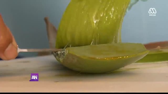 Aloe Vera, un poderoso cicatrizante / #SúperAlimentos смотреть онлайн